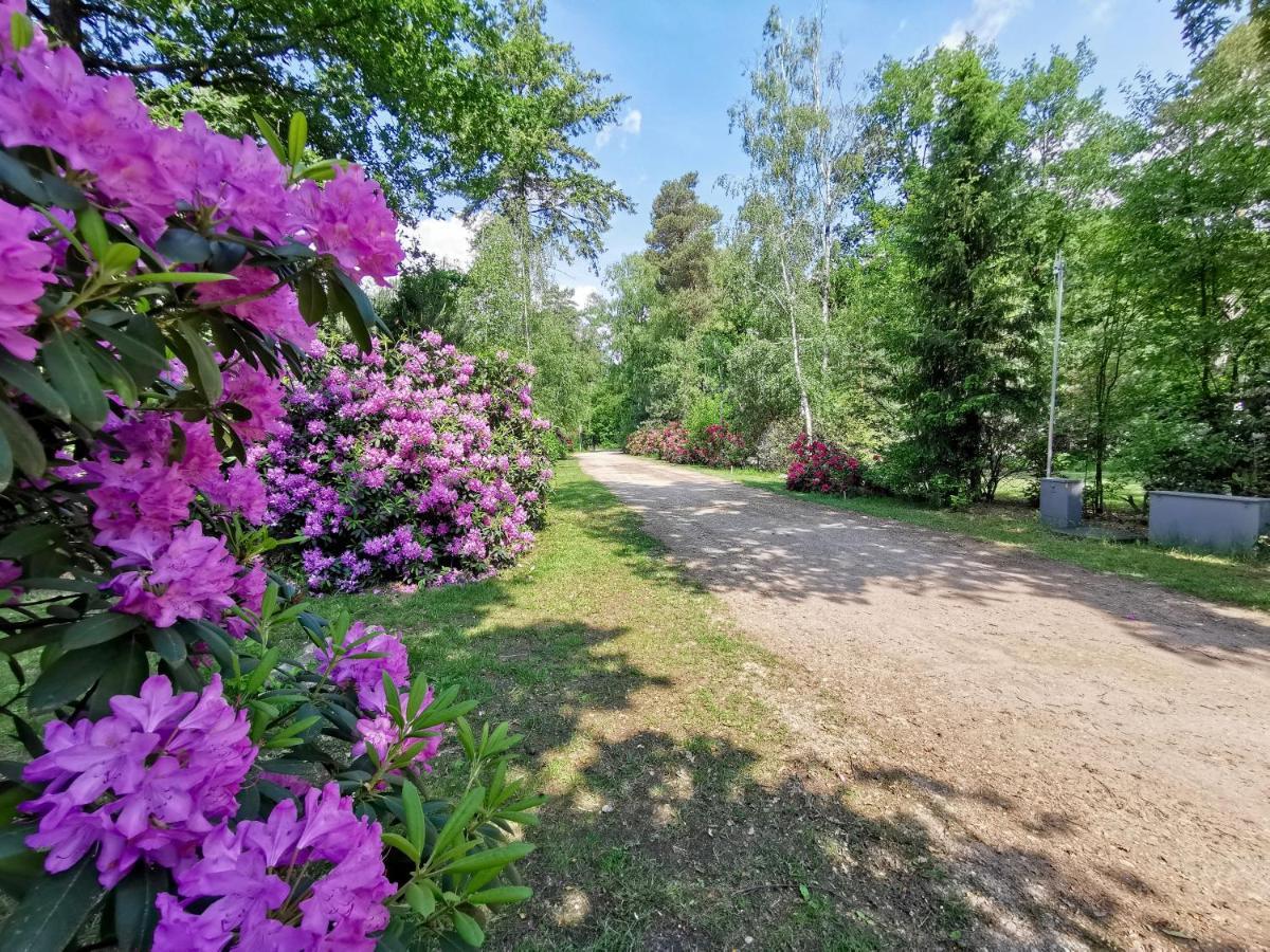 Scandinavian Lodges Хльтен Экстерьер фото